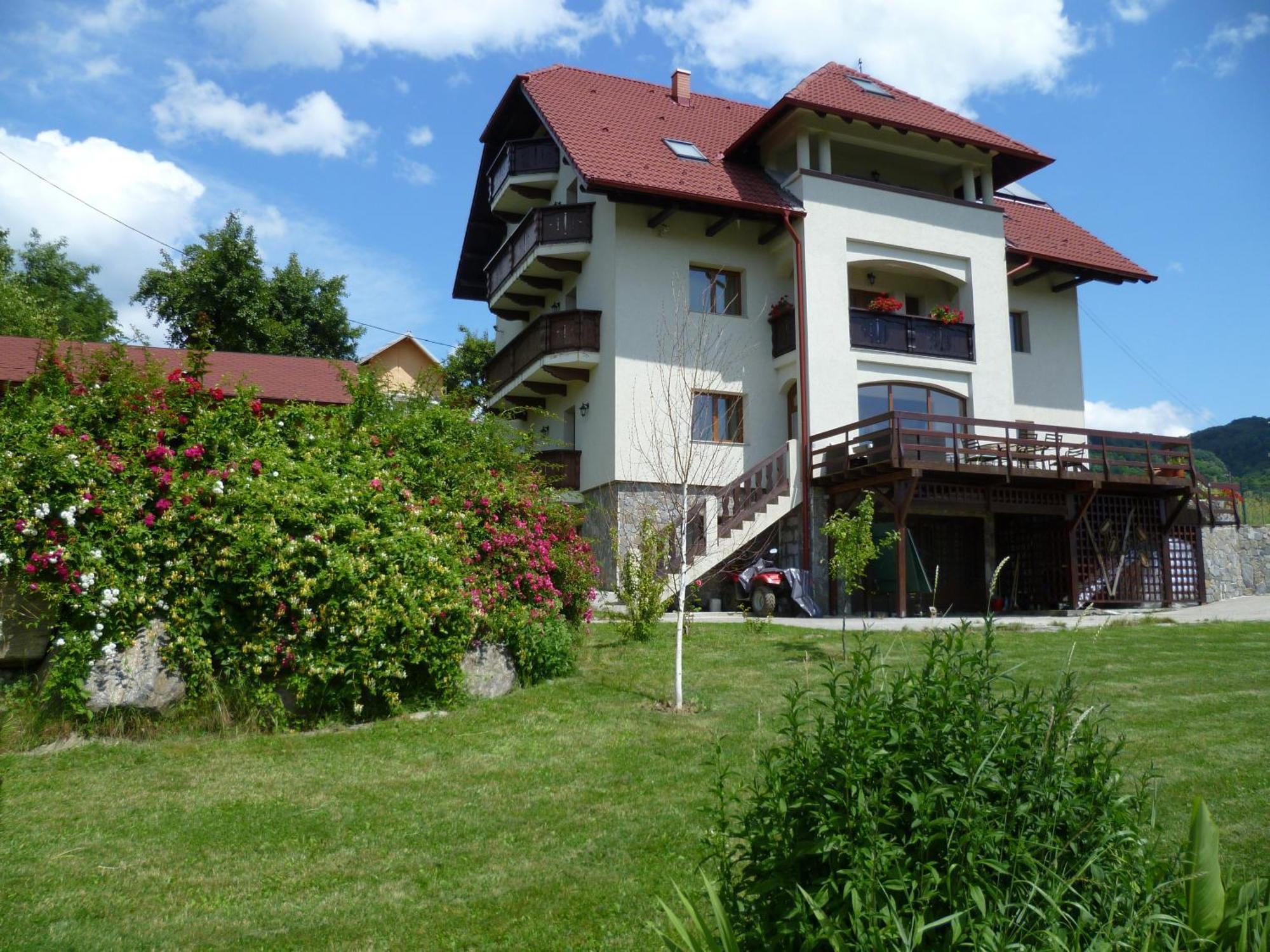 Pension Irina Hotel Arefu Bagian luar foto