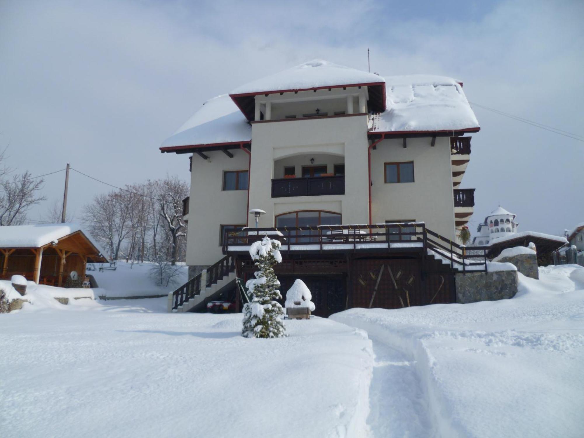 Pension Irina Hotel Arefu Bagian luar foto