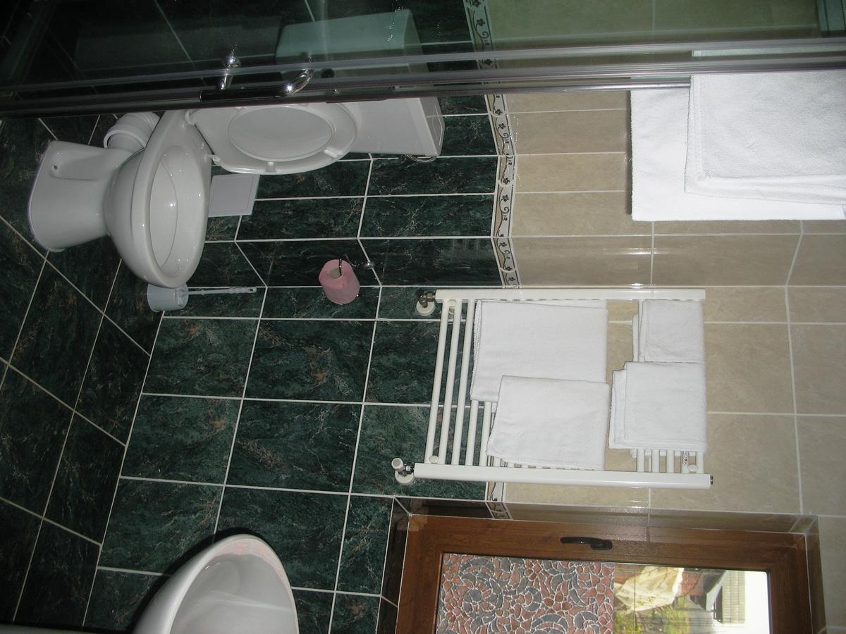 Pension Irina Hotel Arefu Bagian luar foto